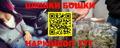 индика Мариинск