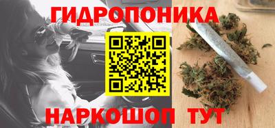 индика Мариинск