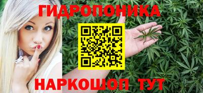 индика Мариинск