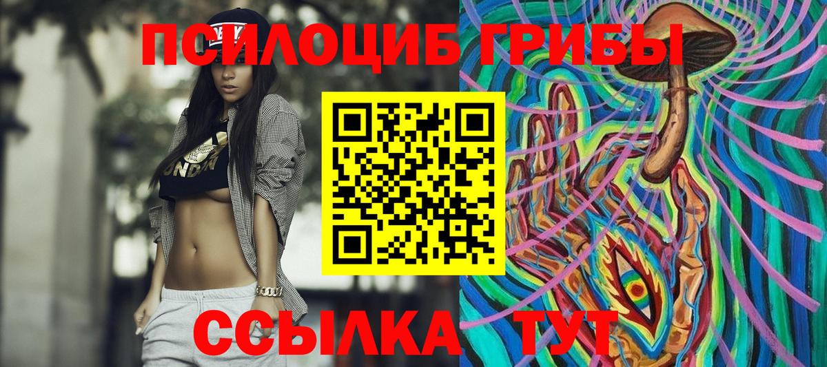 Псилоцибиновые грибы Psilocybine cubensis Тара