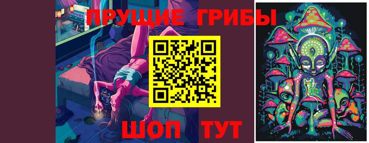 Тара  Псилоцибиновые грибы ЛСД  Вход с VPN 